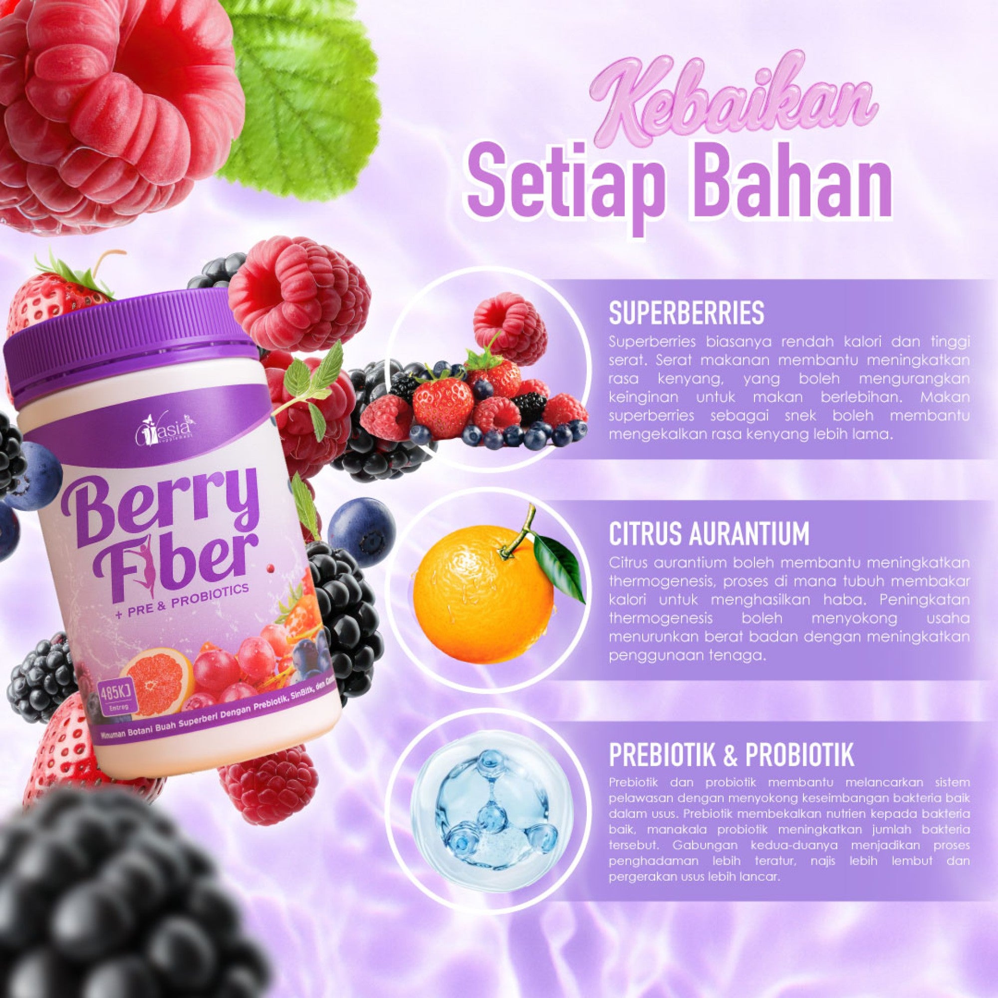 BERRY FIBER - Minuman Diet Tanpa Kolagen
